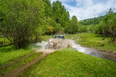 DSC3246