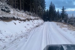 IMG_0262